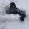 laurie_lavoie